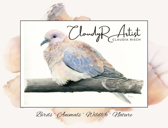 CloudyRArtist - Claudia Risch