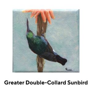 greater double-collard sunbird abstract