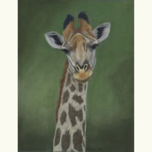 Giraffe - Pastel