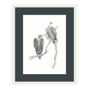 Vultures